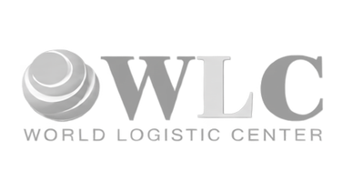 Logo 12